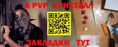 стафф Нальчик