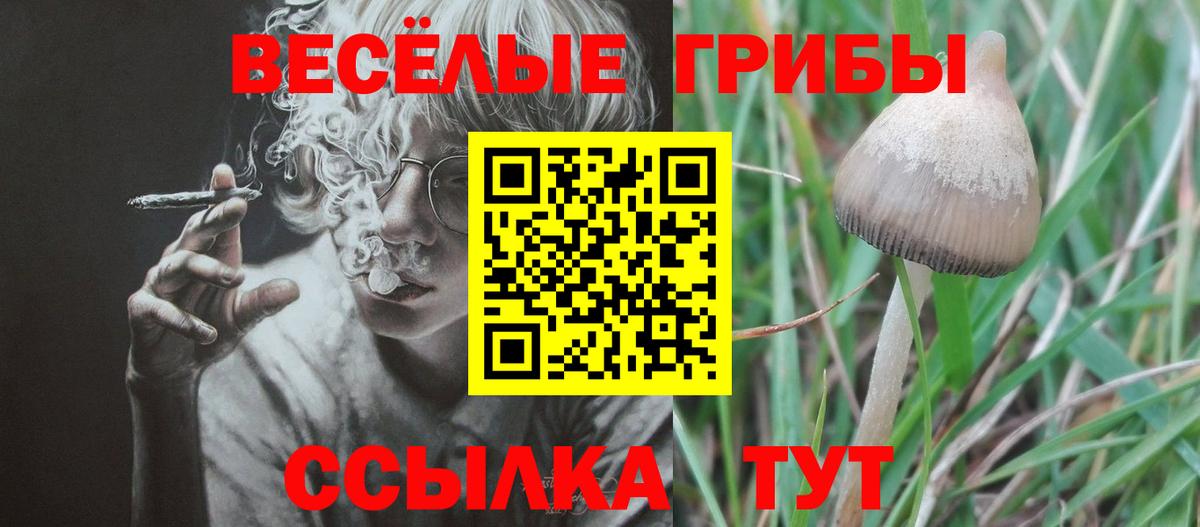 Псилоцибиновые грибы MAGIC MUSHROOMS  дарнет шоп  Ханты-Мансийск  Вход с VPN 